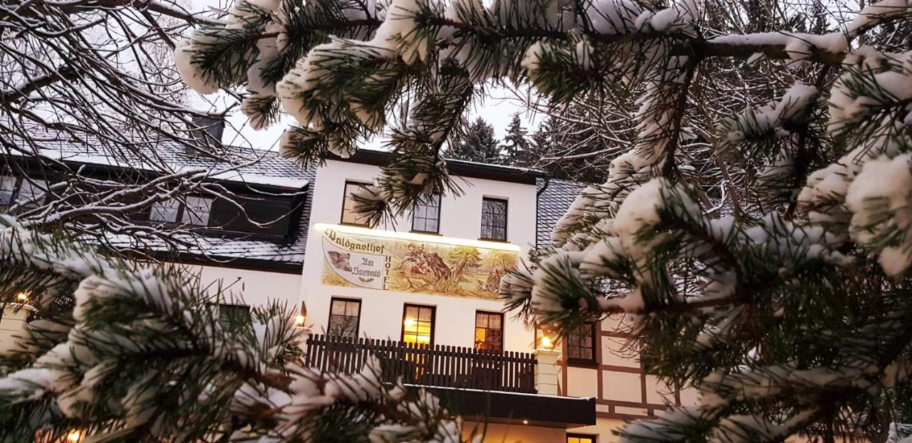 Waldgasthof & Hotel Am Sauwald Tannenberg Kültér fotó