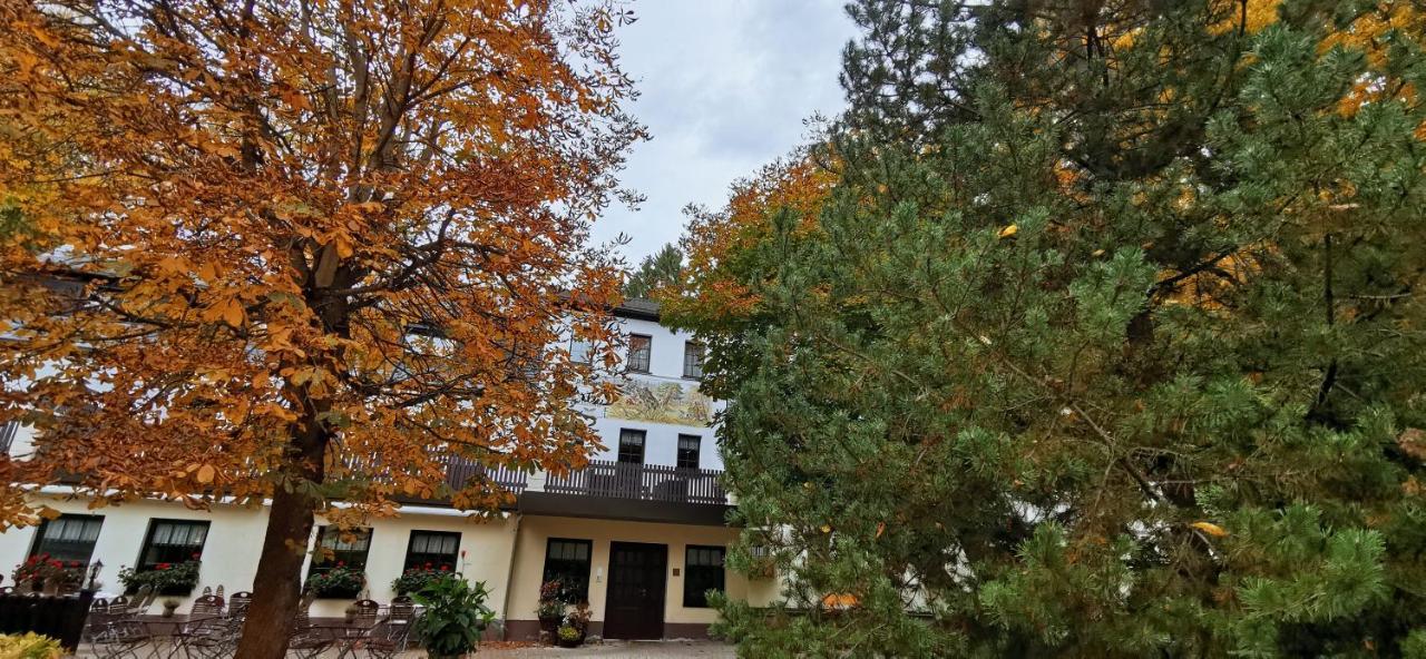 Waldgasthof & Hotel Am Sauwald Tannenberg Kültér fotó