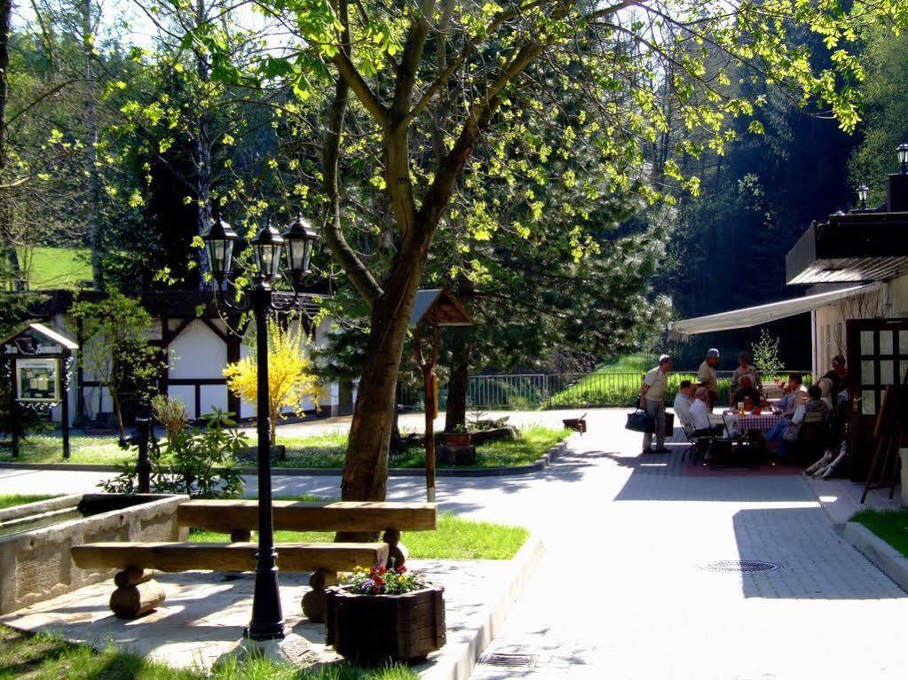 Waldgasthof & Hotel Am Sauwald Tannenberg Kültér fotó