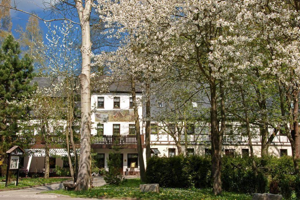 Waldgasthof & Hotel Am Sauwald Tannenberg Kültér fotó